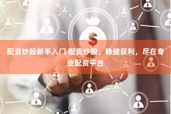 配资炒股新手入门 配资炒股，稳健获利，尽在专业配资平台