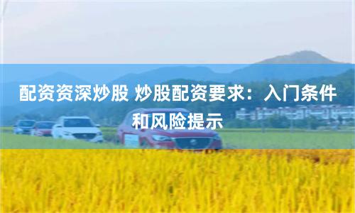 配资资深炒股 炒股配资要求：入门条件和风险提示